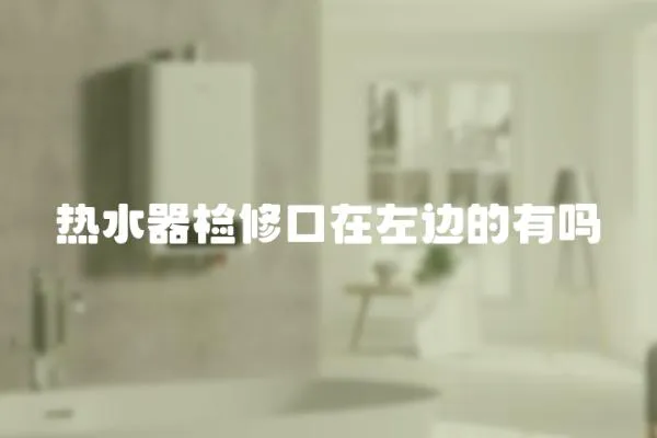 熱水器檢修口在左邊的有嗎