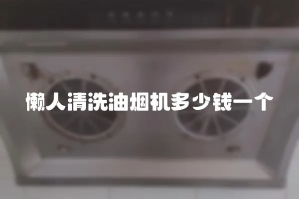 懶人清洗油煙機多少錢一個