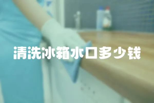 清洗冰箱水口多少錢