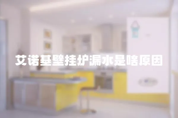 艾諾基壁掛爐漏水是啥原因