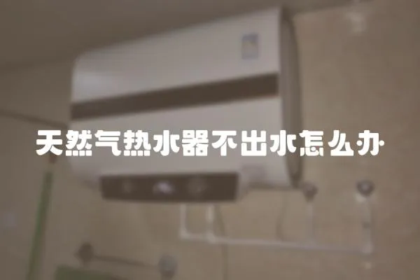 天然气热水器不出水怎么办