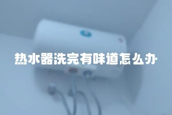 熱水器洗完有味道怎么辦