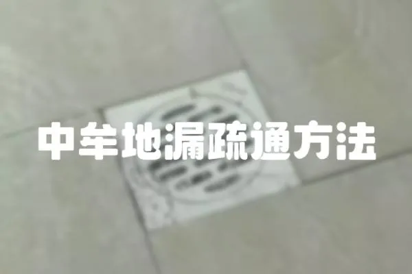 中牟地漏疏通方法