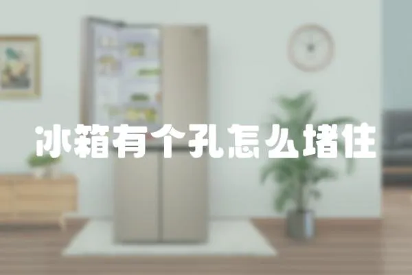 冰箱有個孔怎么堵住