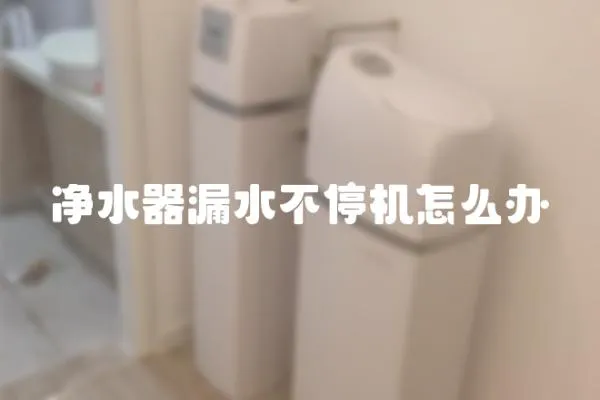 凈水器漏水不停機(jī)怎么辦