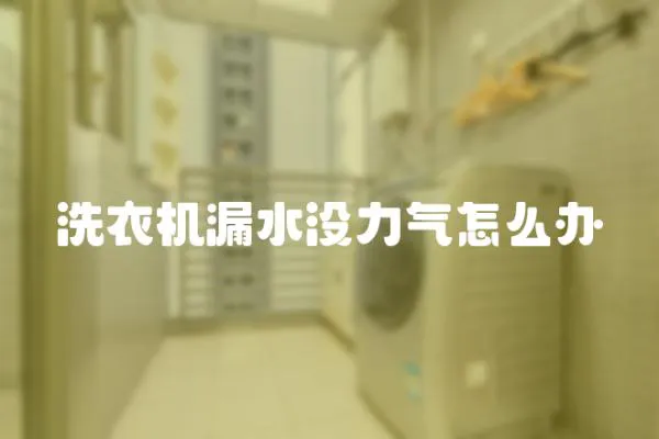 洗衣機漏水沒力氣怎么辦
