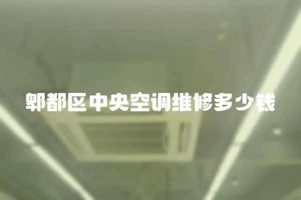 郫都區中央空調維修多少錢