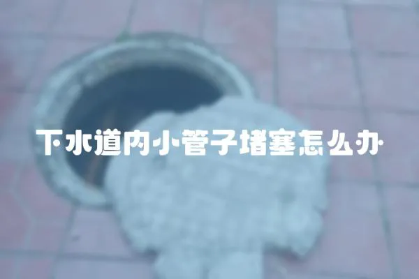 下水道內小管子堵塞怎么辦