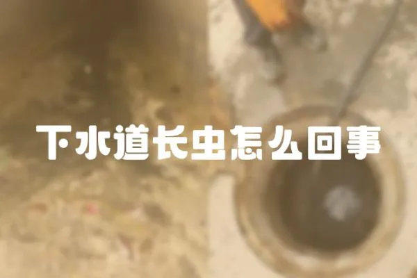 下水道長蟲怎么回事