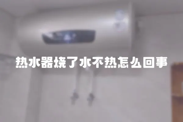 熱水器燒了水不熱怎么回事
