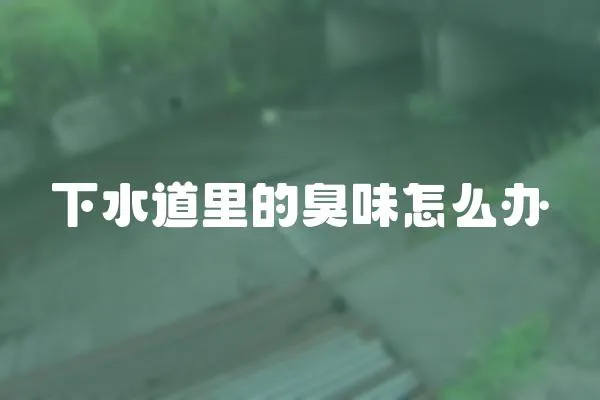 下水道里的臭味怎么辦