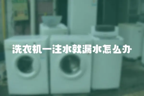 洗衣機(jī)一注水就漏水怎么辦