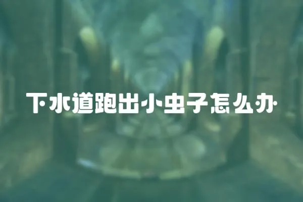 下水道跑出小蟲子怎么辦