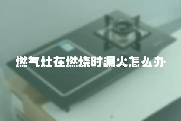 燃气灶在燃烧时漏火怎么办