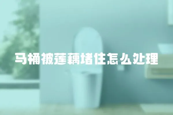 馬桶被蓮藕堵住怎么處理