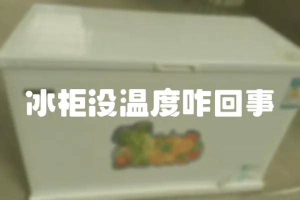 冰柜沒(méi)溫度咋回事