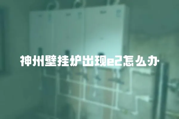 神州壁掛爐出現(xiàn)e2怎么辦