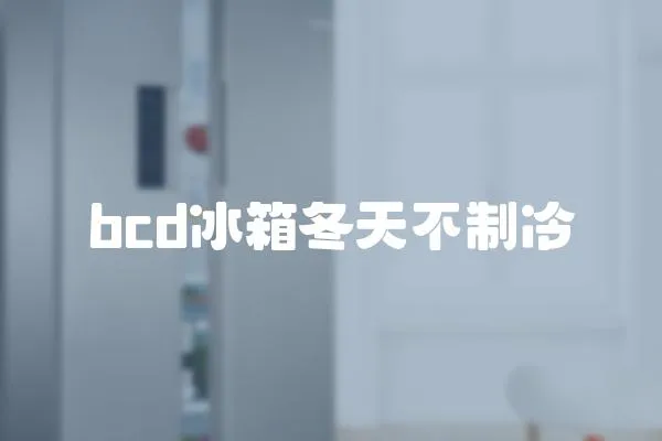 bcd冰箱冬天不制冷