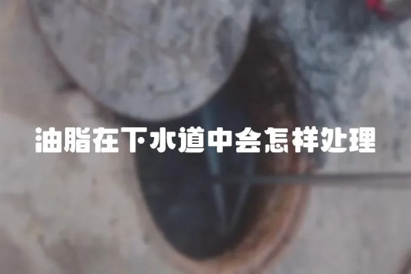 油脂在下水道中會怎樣處理