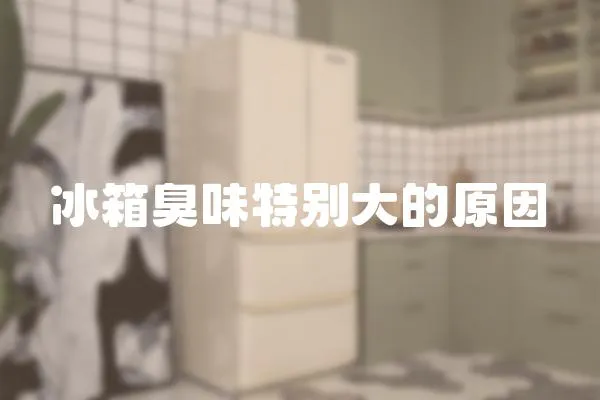 冰箱臭味特別大的原因