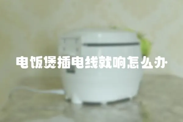 電飯煲插電線就響怎么辦