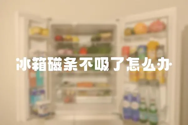 冰箱磁條不吸了怎么辦