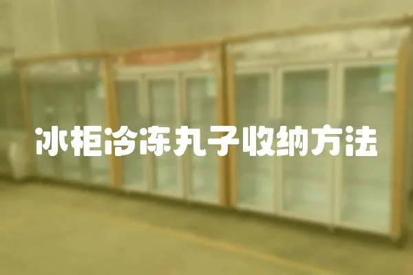 冰柜冷凍丸子收納方法
