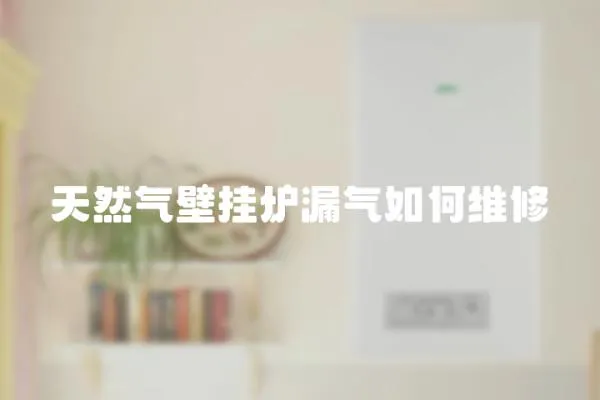 天然氣壁掛爐漏氣如何維修