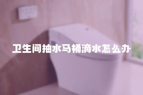 衛生間抽水馬桶滴水怎么辦