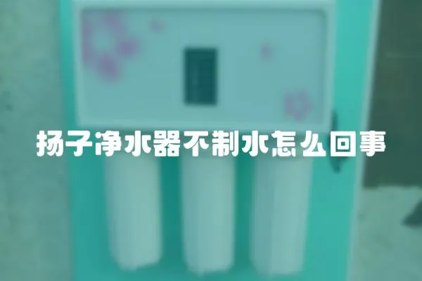 揚(yáng)子凈水器不制水怎么回事