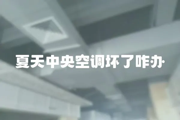 夏天中央空調(diào)壞了咋辦