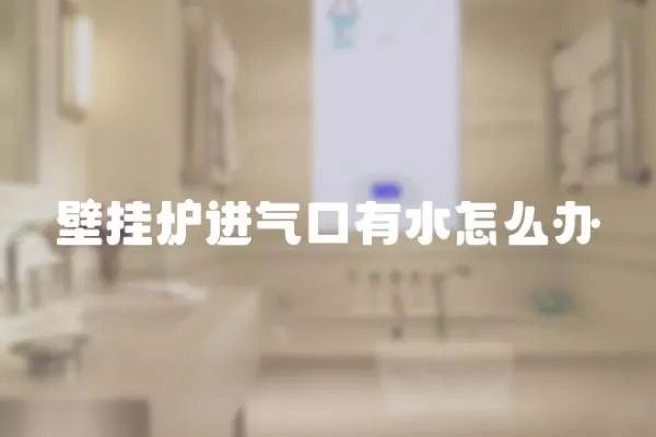 壁掛爐進氣口有水怎么辦