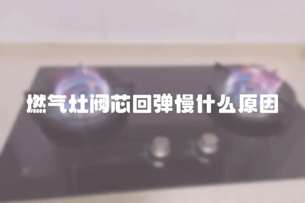 燃?xì)庠铋y芯回彈慢什么原因