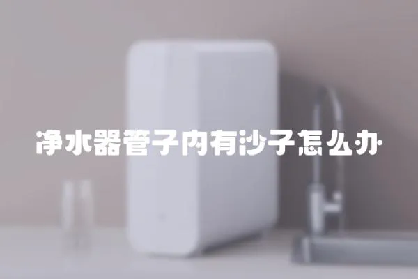 凈水器管子內有沙子怎么辦