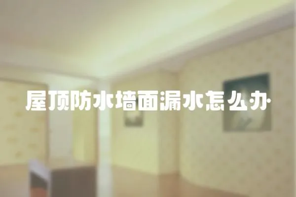 屋頂防水墻面漏水怎么辦