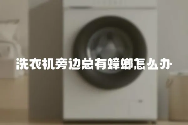 洗衣機旁邊總有蟑螂怎么辦