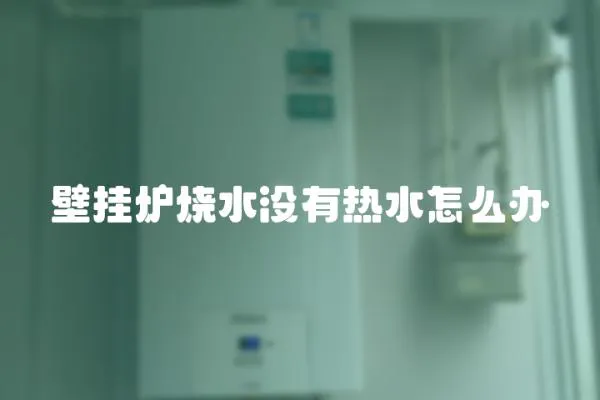 壁掛爐燒水沒有熱水怎么辦