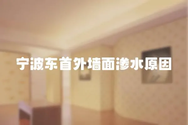 寧波東首外墻面滲水原因