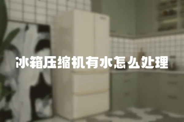 冰箱壓縮機(jī)有水怎么處理