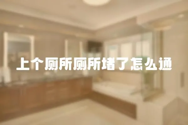 上個廁所廁所堵了怎么通