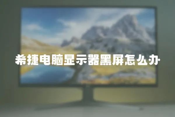 希捷電腦顯示器黑屏怎么辦