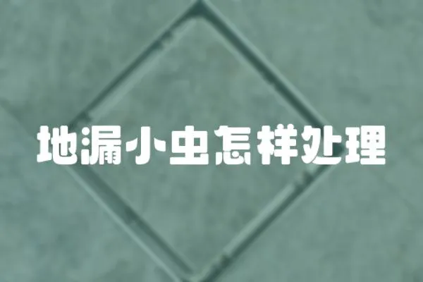 地漏小蟲怎樣處理