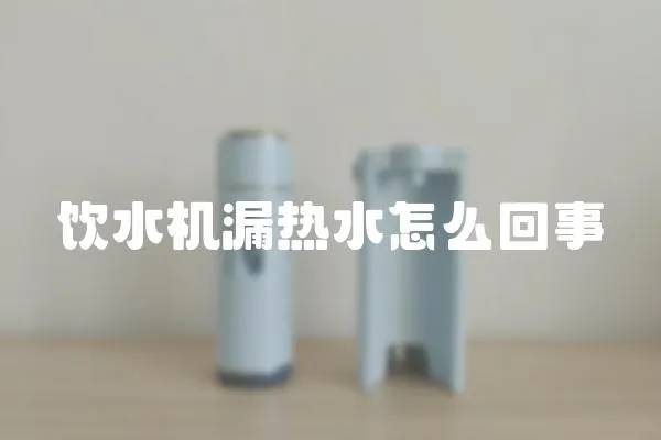 飲水機漏熱水怎么回事