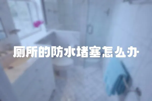 廁所的防水堵塞怎么辦