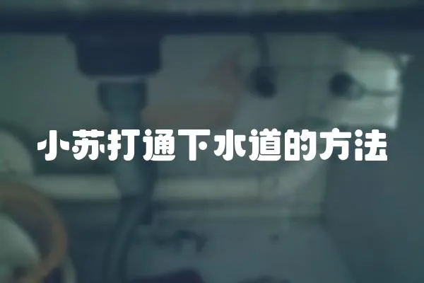 小蘇打通下水道的方法