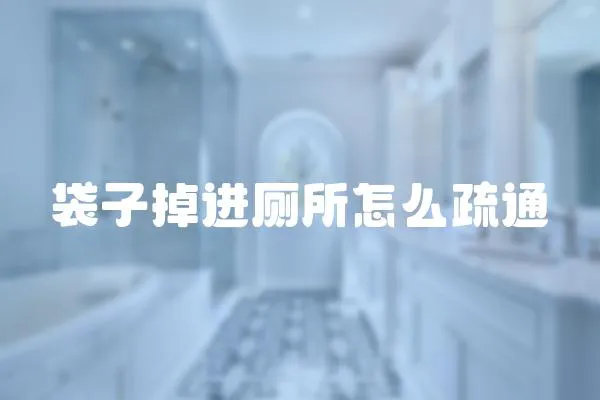 袋子掉進廁所怎么疏通