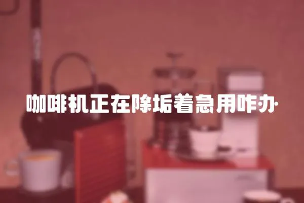 咖啡機正在除垢著急用咋辦