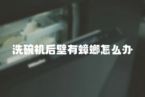 洗碗機后壁有蟑螂怎么辦