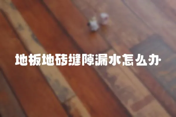 地板地磚縫隙漏水怎么辦