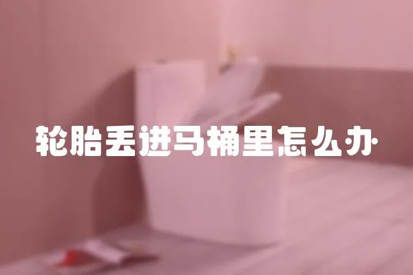 輪胎丟進馬桶里怎么辦